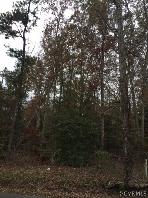 0 Ruthville Road Providence Forge, VA 23140 - Photo 1 of 1 Gallery Image 1