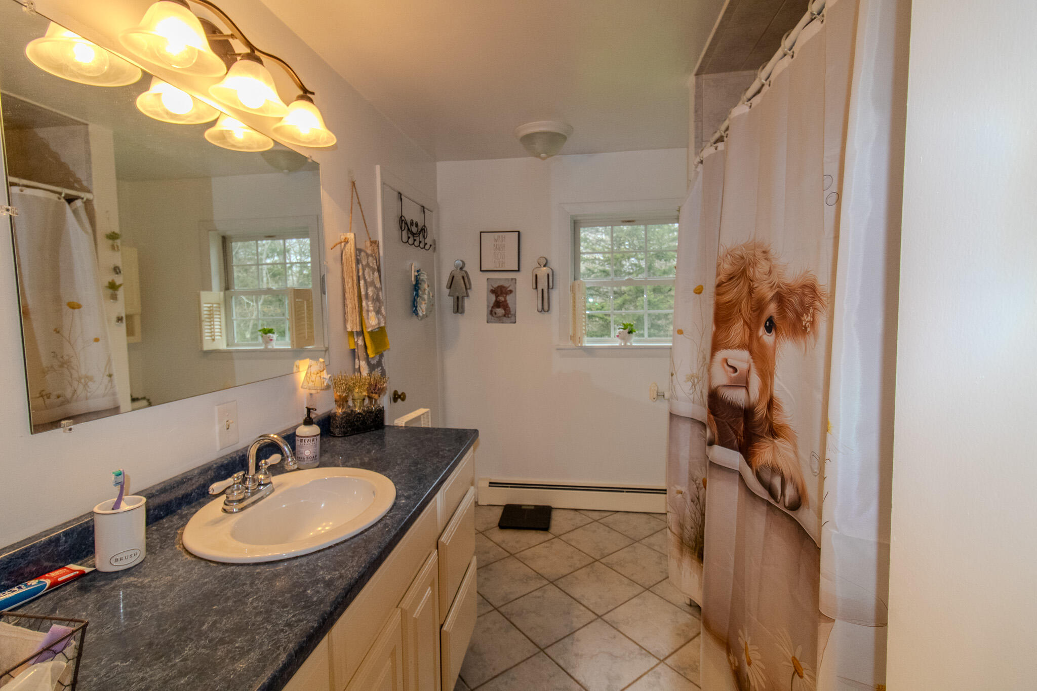 498 Dyer's Bay Road Steuben, ME 04680 - Photo 22 of 32 IMG_5729