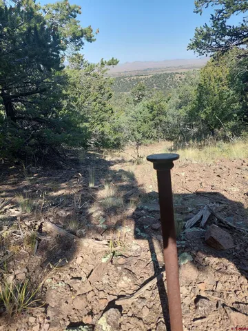 a view of a yard with wooden fence