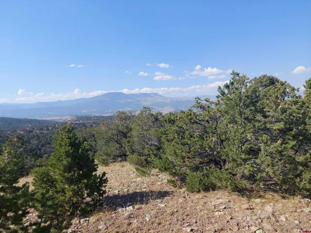 a view of a big yard with lots of green space