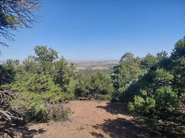 a view of a large yard with lots of green space
