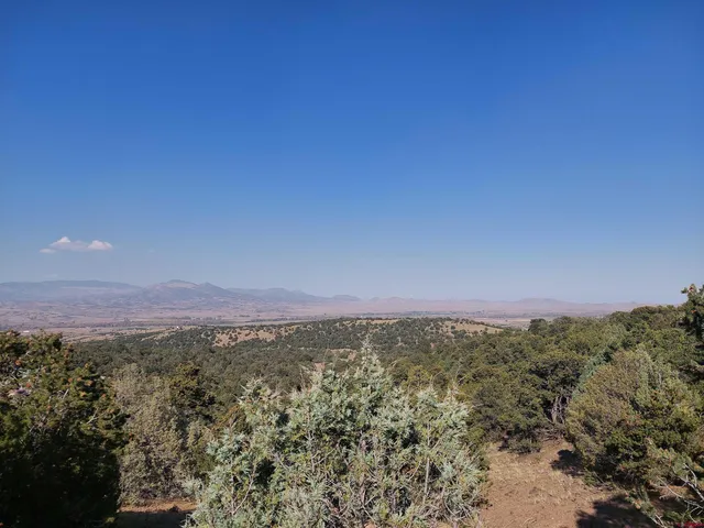 a view of a city with lush green forest