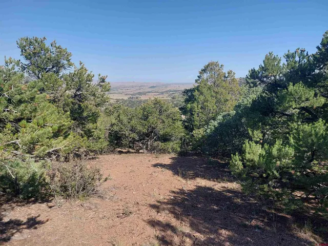 a view of a large yard with lots of green space