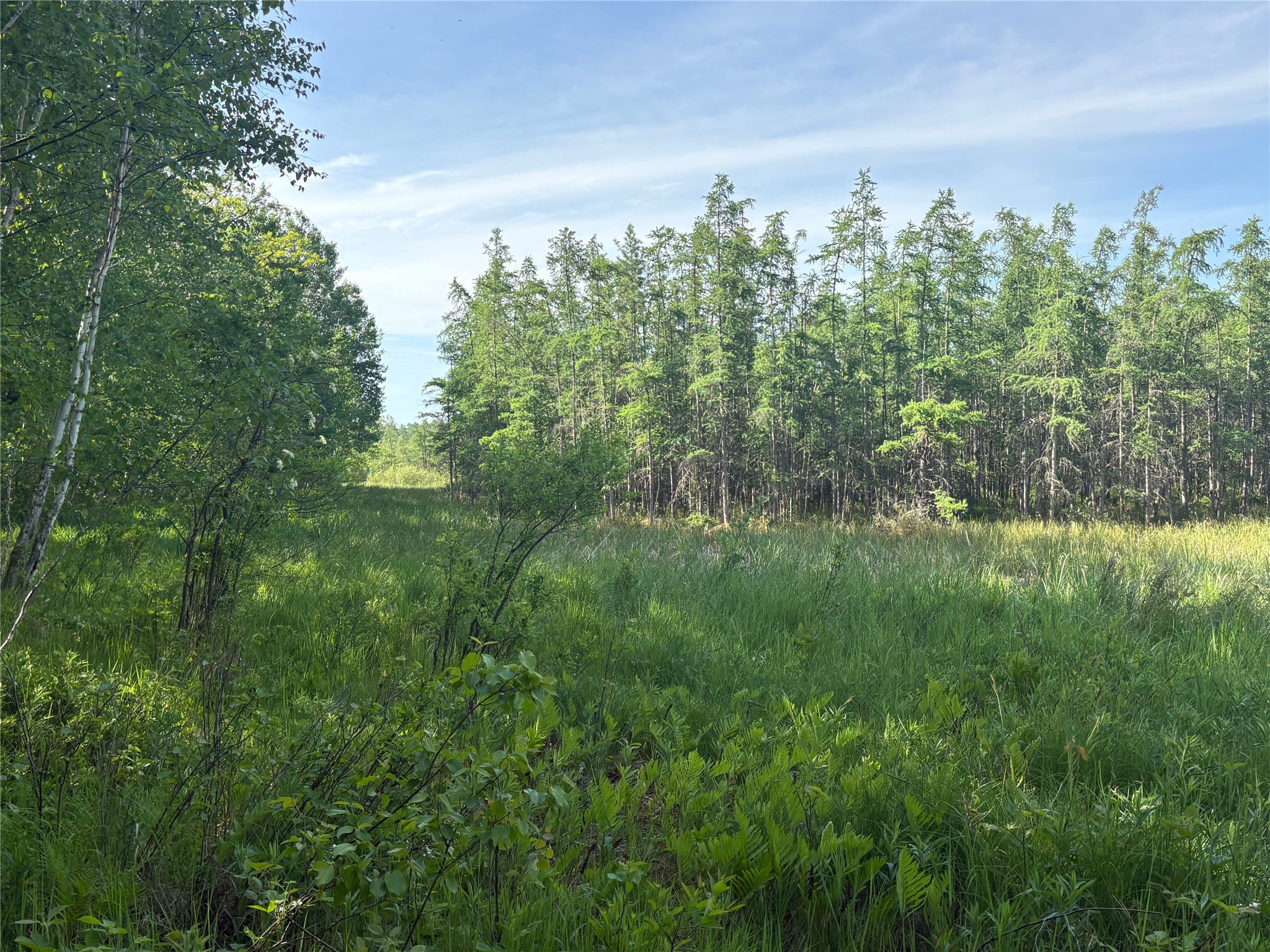 0 23 23 1/2 Street Rice Lake, WI 54868 - Photo 5 of 13