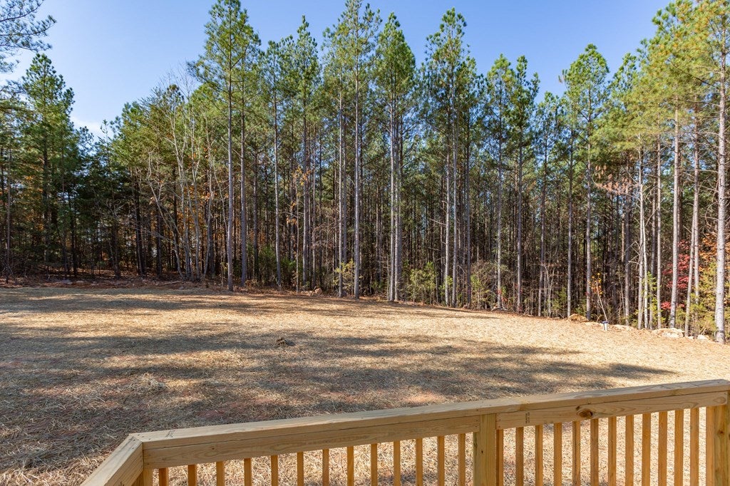 2243 Meherrin Road Meherrin, VA 23954 - Photo 20 of 50 Gallery Image 20