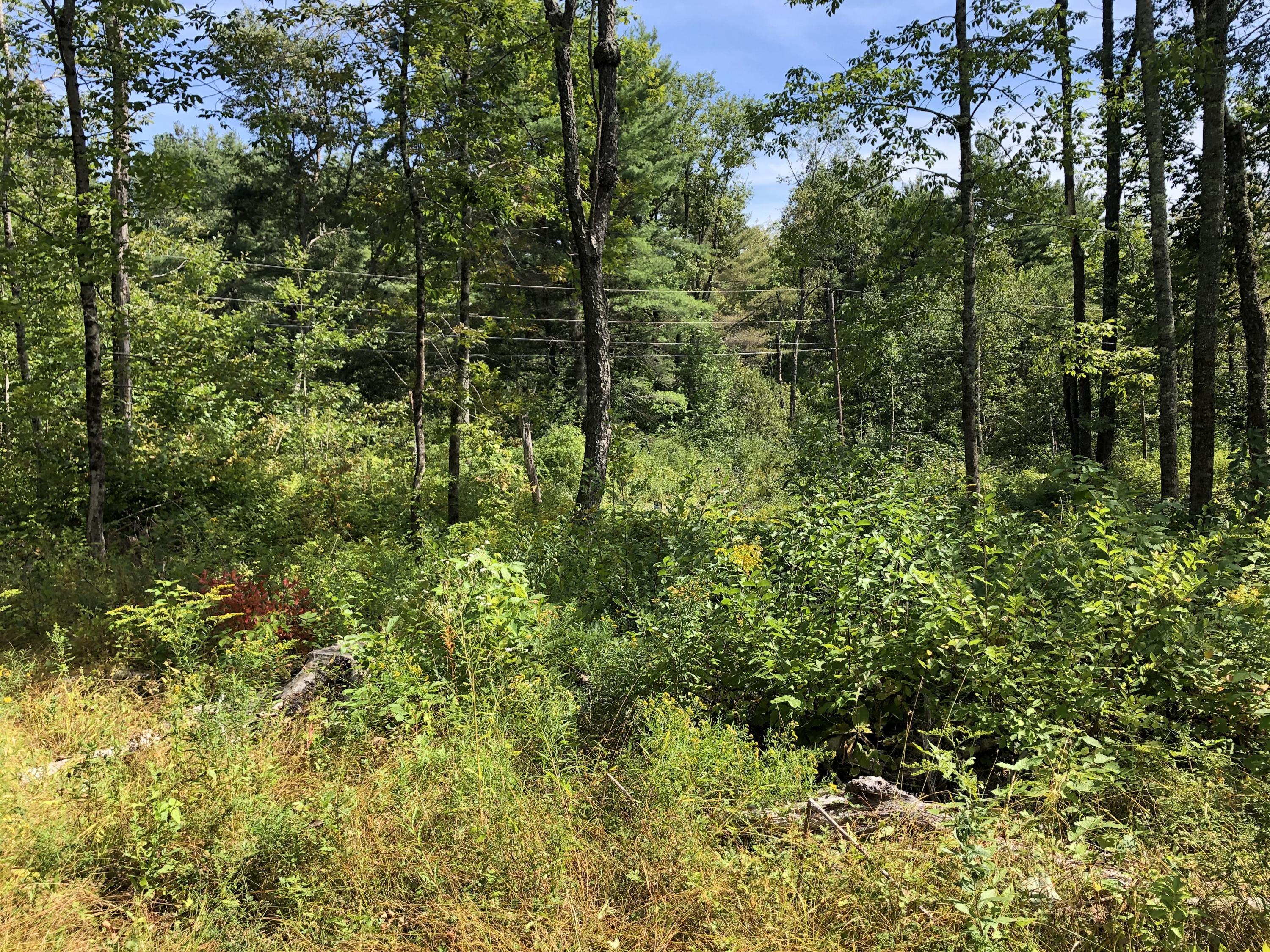 1 Lupine Road Belfast, ME 04915 - Photo 10 of 16 IMG_6297