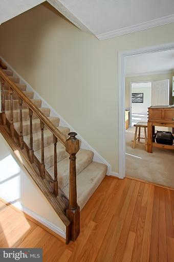 7420 Brian Run Court Springfield, VA 22153 - Photo 20 of 30 Foyer