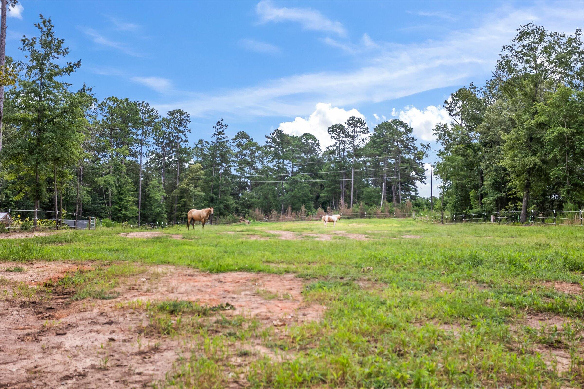 1061 Outaways Road Aiken, SC 29803 - Photo 45 of 67