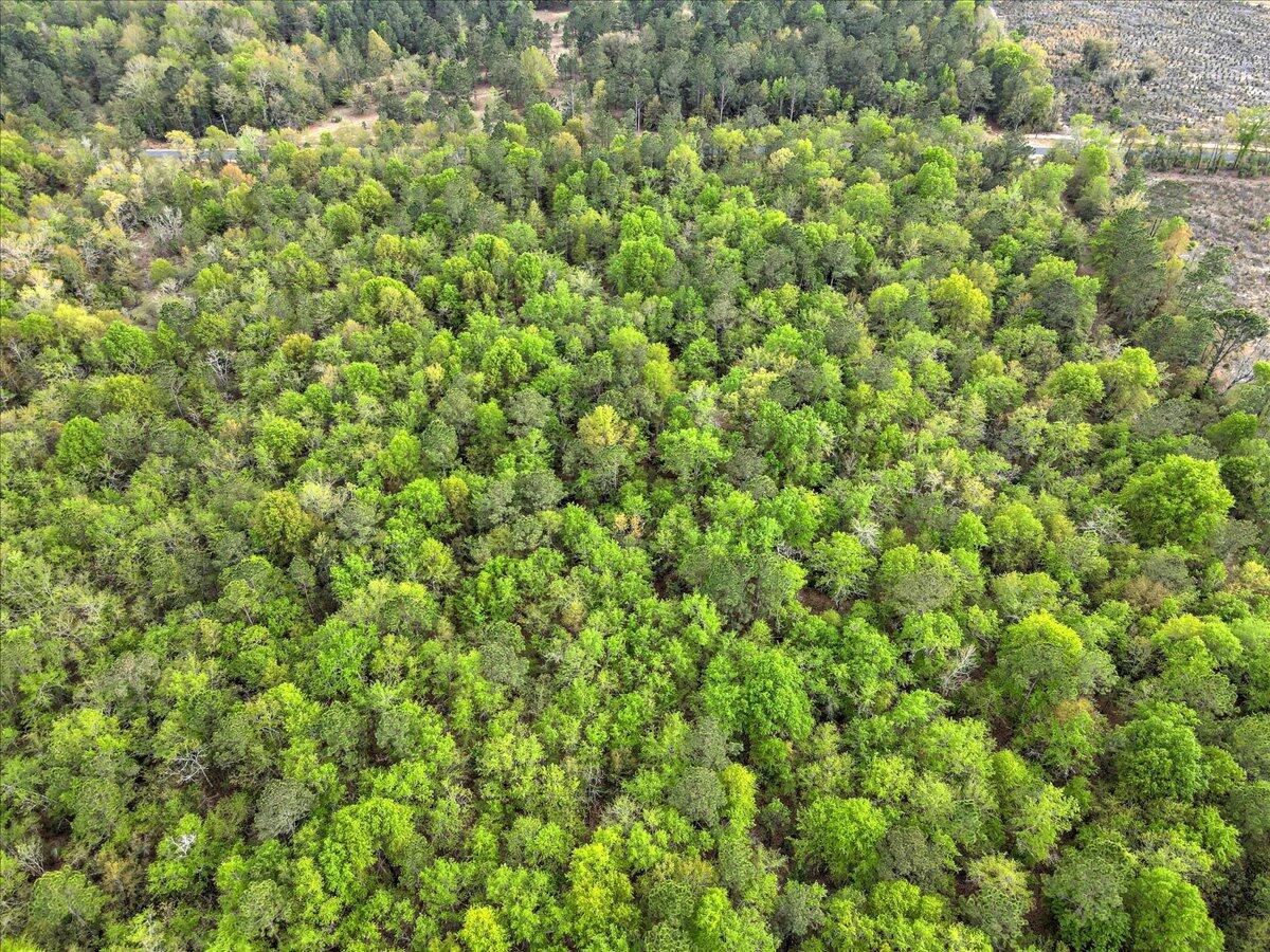 0 Millers Pond Road, Unit LOT 2 Salley, SC 29137 - Photo 11 of 13