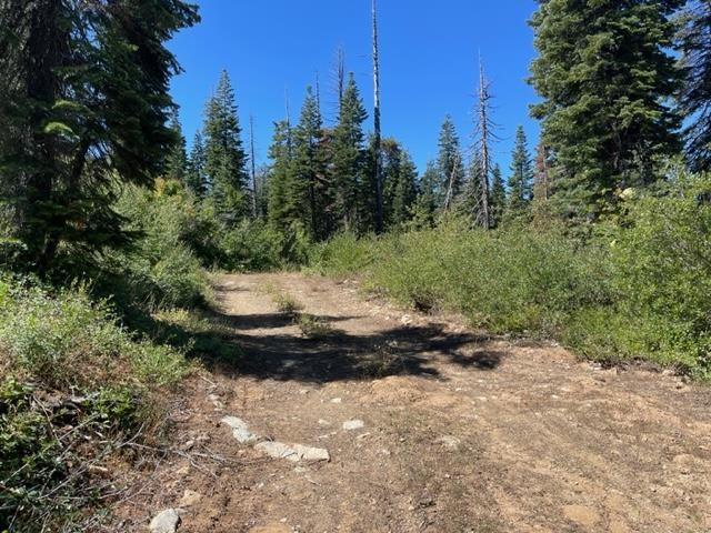 0 Big Creek Road Quincy, CA 95971 - Photo 7 of 19