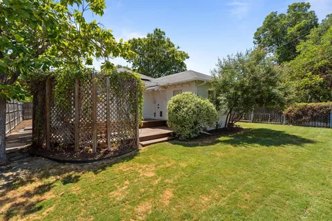a view of a garden with large trees