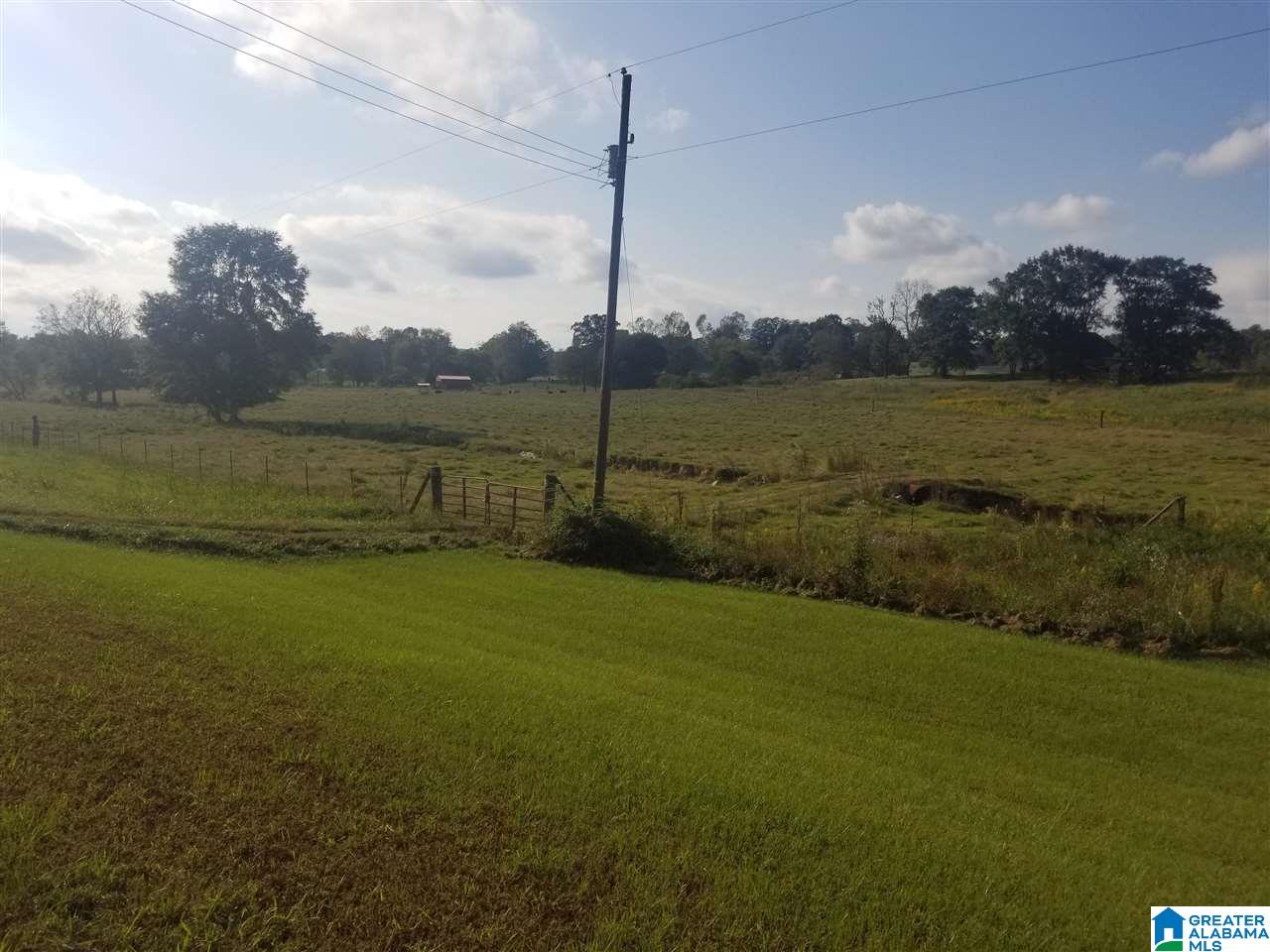 0 Highway 144, Unit 1 Ragland, AL 35131 - Photo 2 of 6