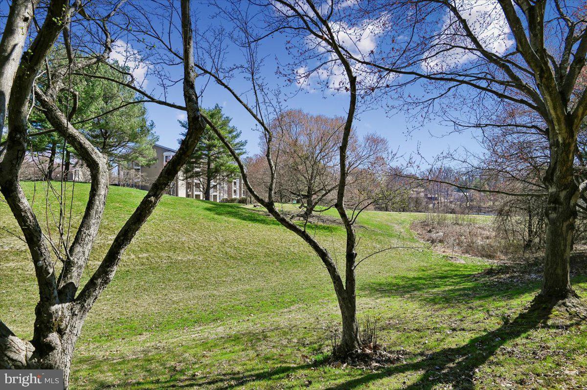 5097 Columbia Road, Unit 16 18 Columbia, MD 21044 - Photo 49 of 65 Open space view 2