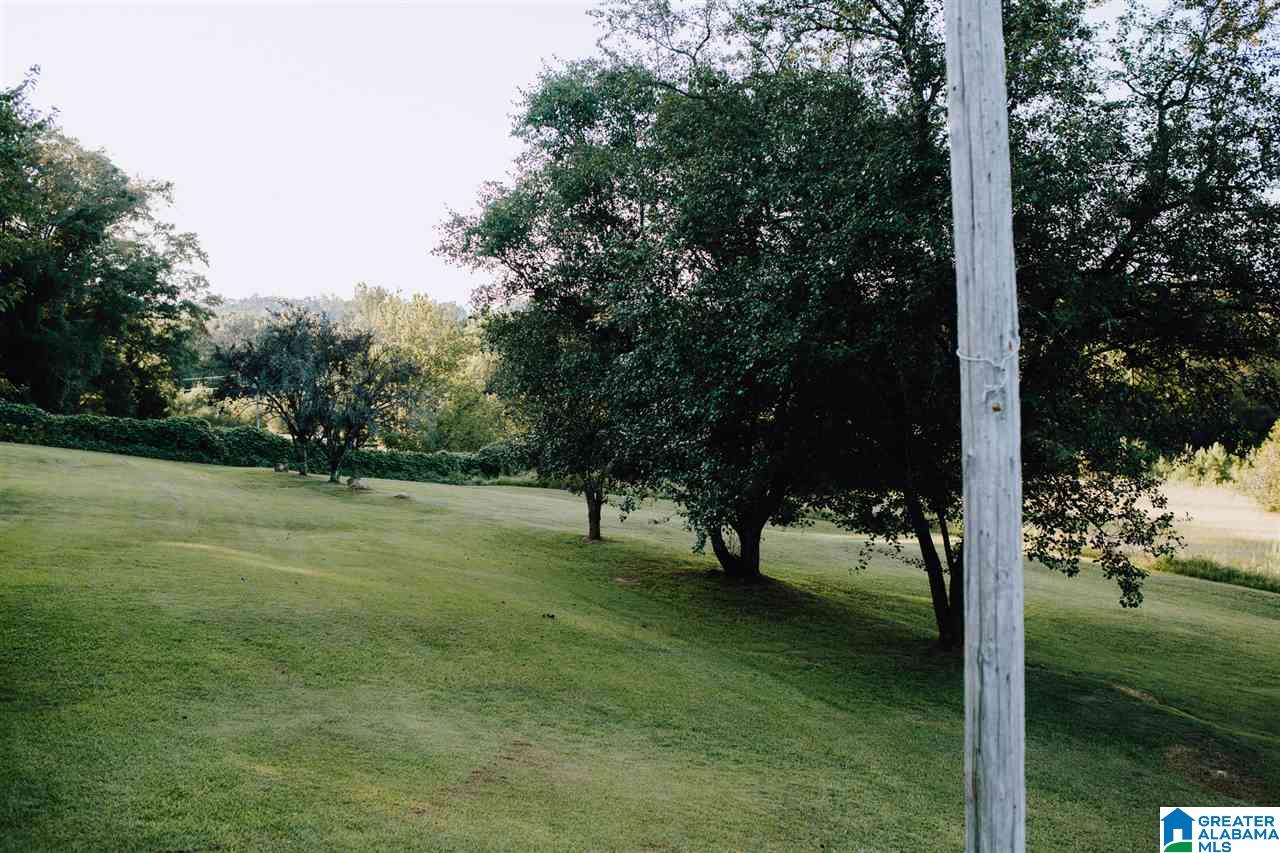 110 Llama Road Jacksonville, AL 36265 - Photo 44 of 49