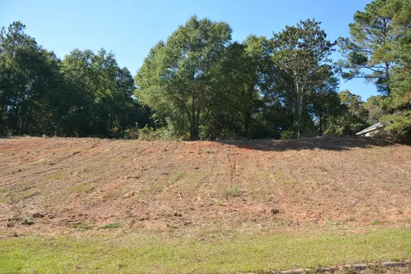 $19,900 | .70-ac Cedar Grove Lane, Enterprise, AL 36330