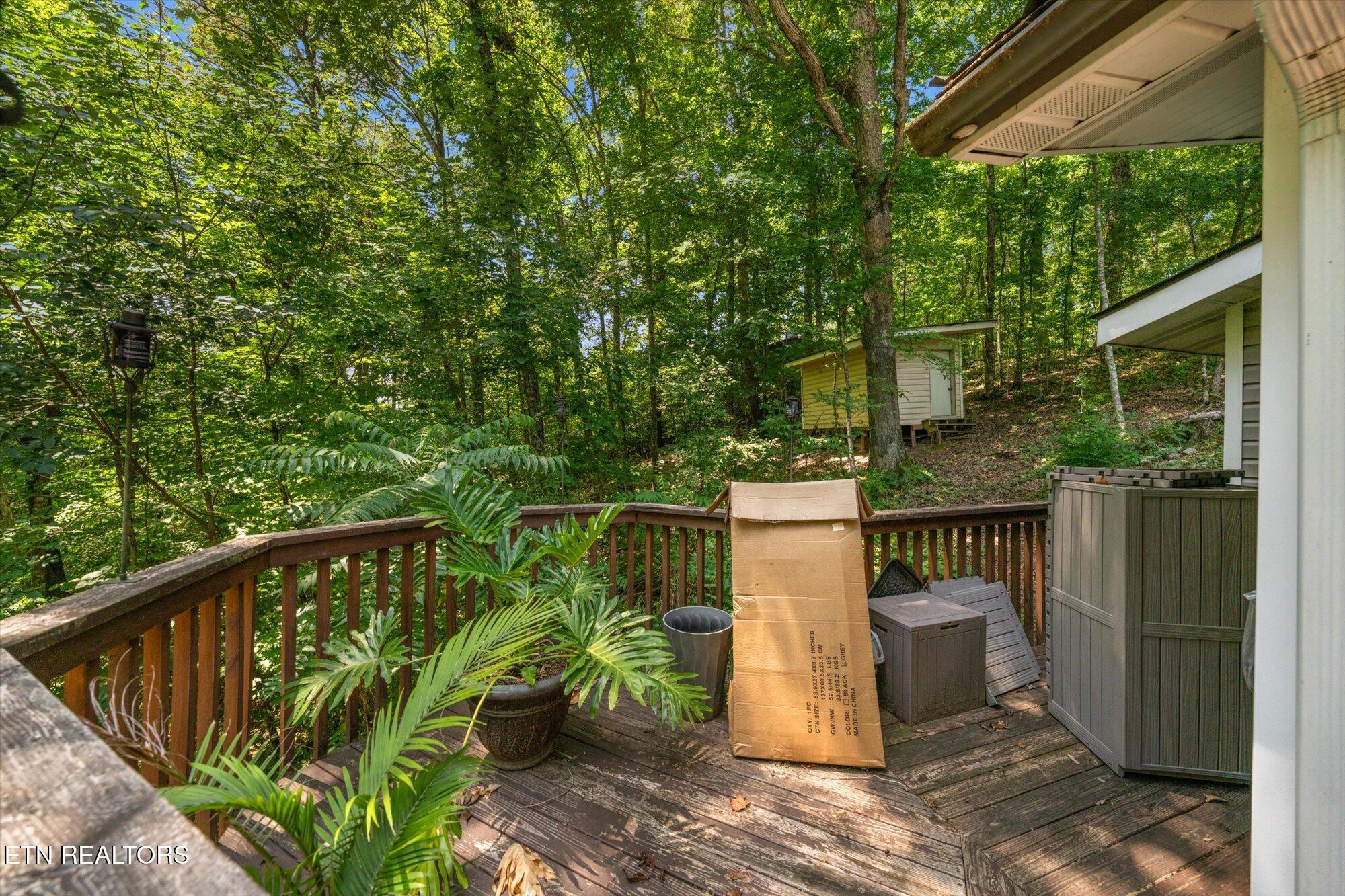 7801 Rollen Road Knoxville, TN 37920 - Photo 11 of 36 10-7801-Rollen-Rd-Knoxville-TN-10