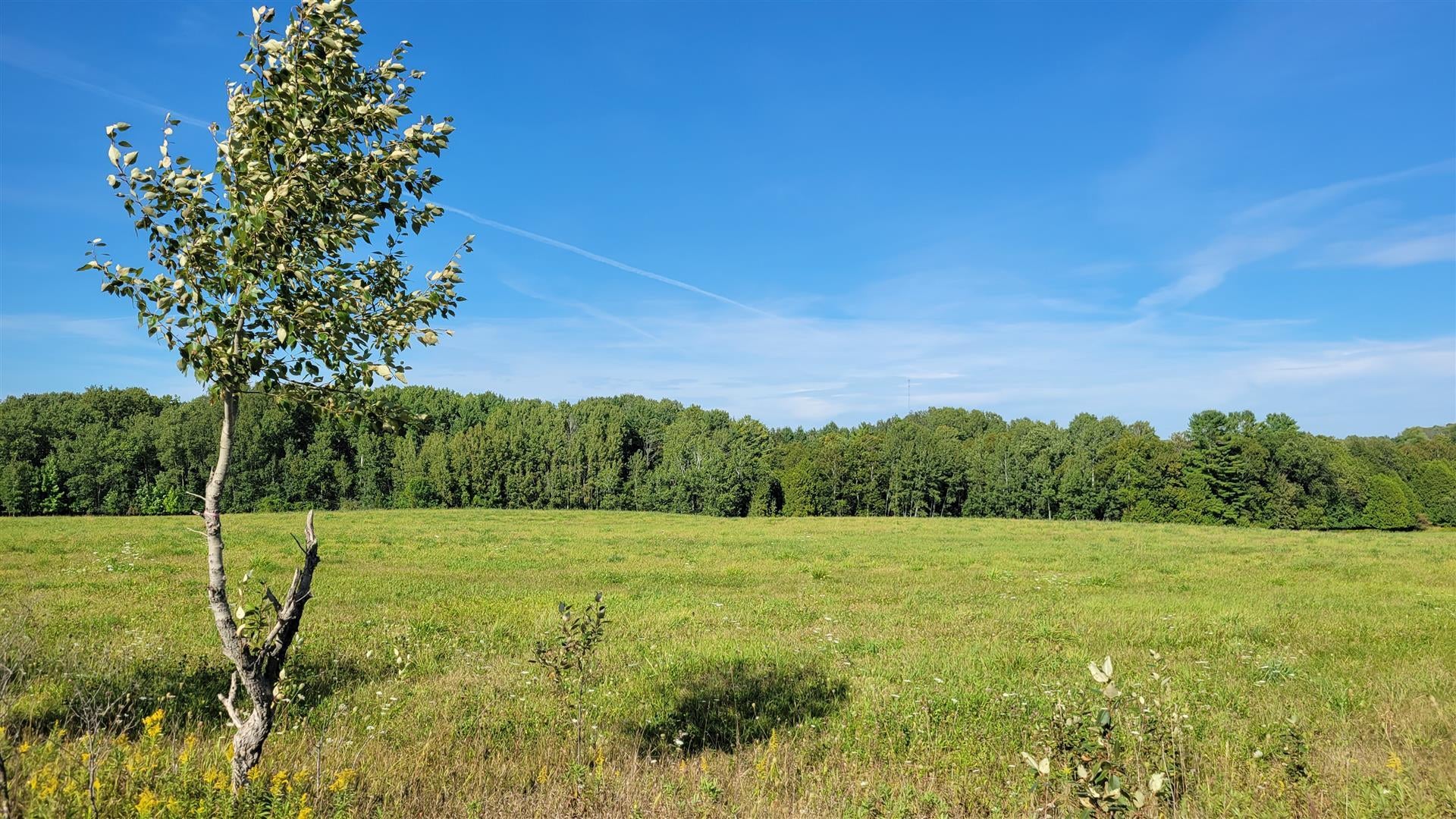 South River Road Cheboygan, MI 49721 - Photo 6 of 6 Gallery Image 6