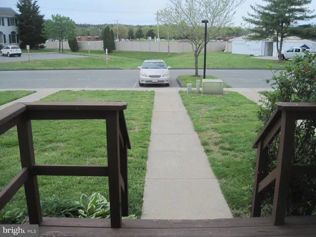 a view of a park with large trees
