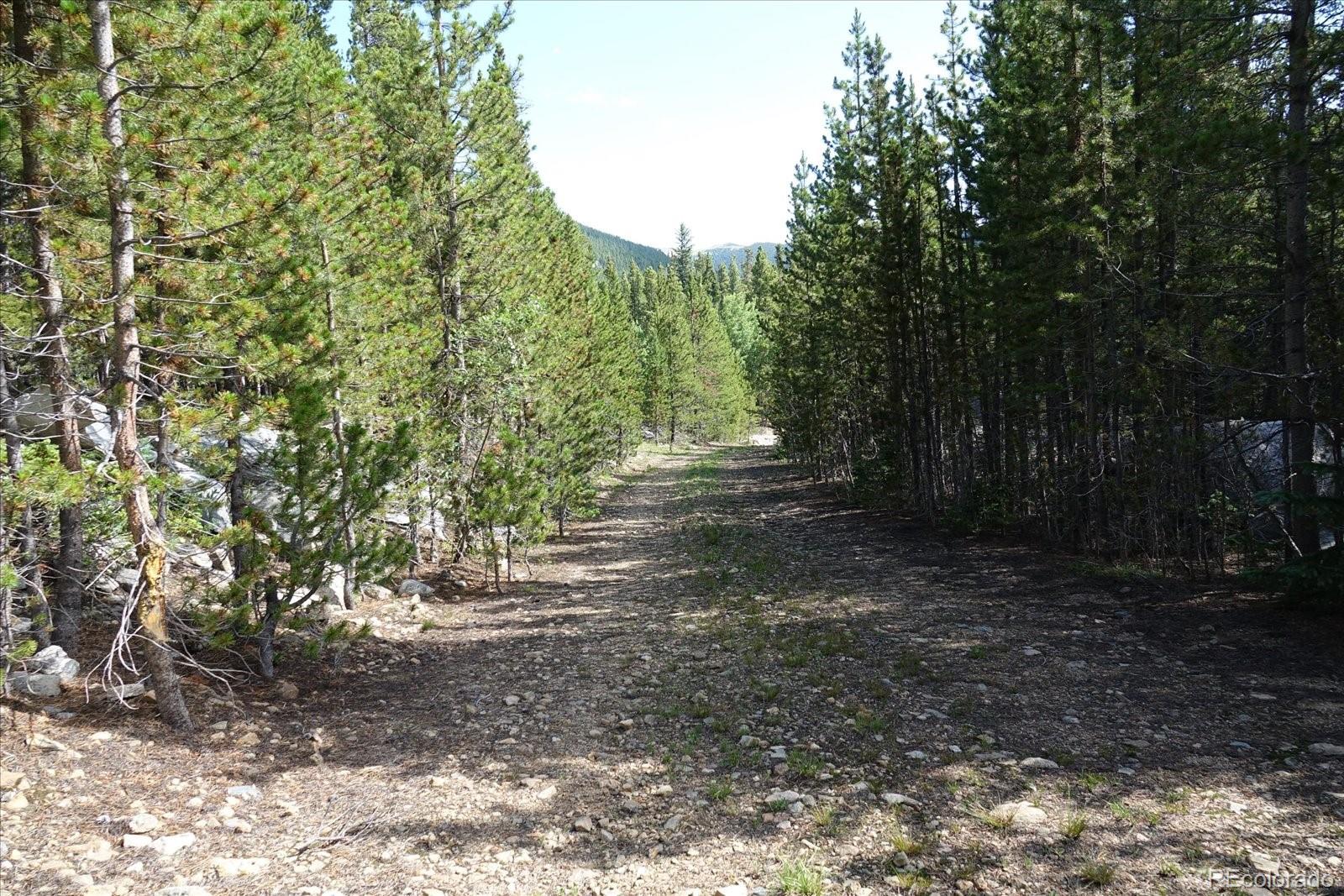 0 Upper Forest Road Idaho Springs, CO 80452 - Photo 19 of 23 Gallery Image 19