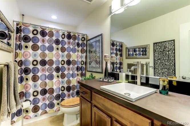 4068 Desert Ridge Circle Castle Rock, CO 80108 - Photo 20 of 25 a bathroom with a sink toilet and shower