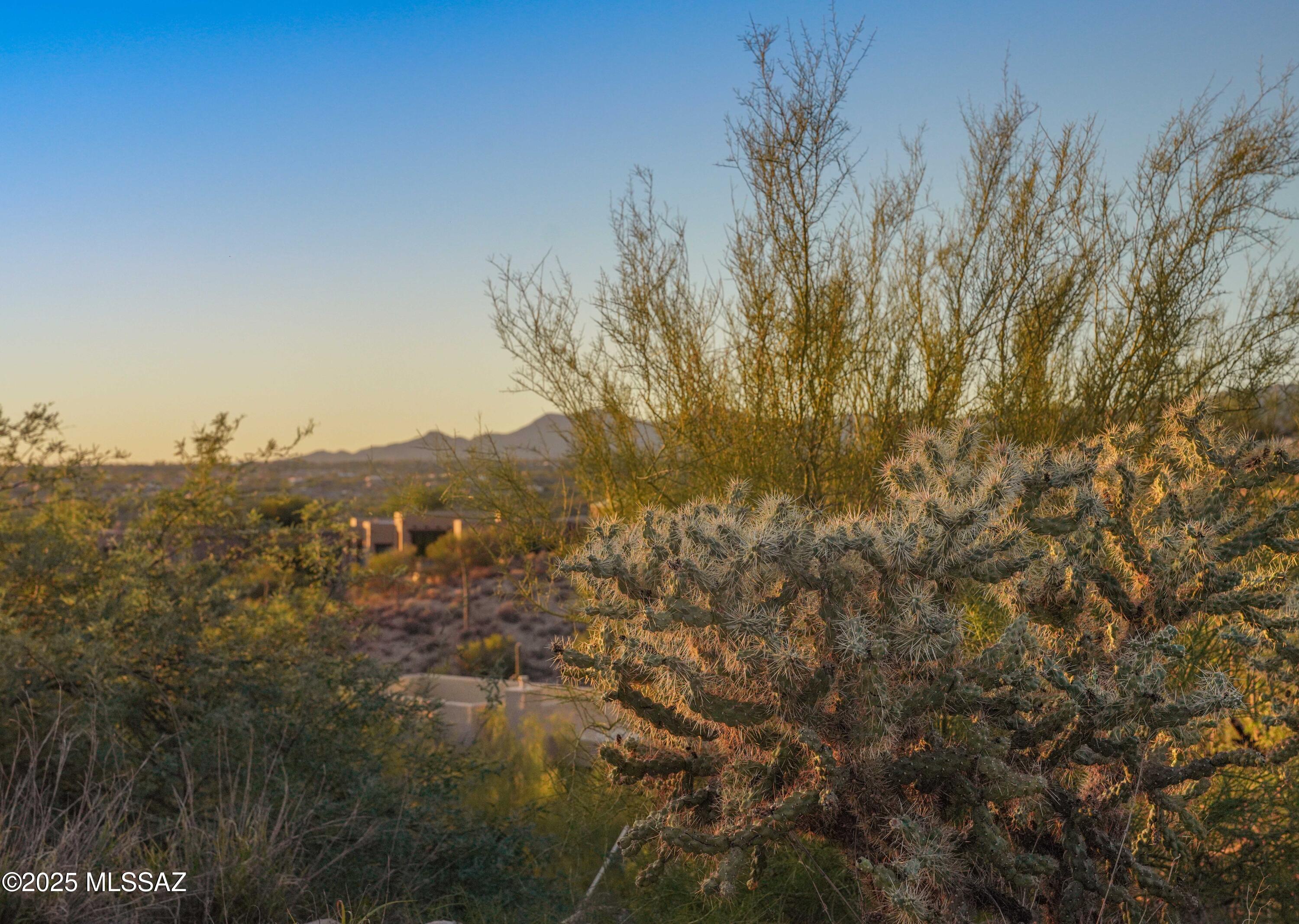 10576 Buck Ridge Drive, Unit 51 Tucson, AZ 85737 - Photo 13 of 20
