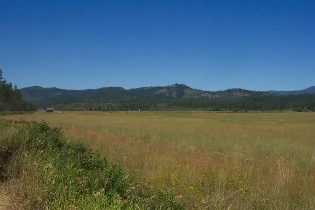 $1,500,000 | 3900 Haverland Meadows Road, Unit 1, Valley, WA 99181