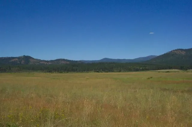 $1,500,000 | 3900 Haverland Meadows Road, Unit 1, Valley, WA 99181