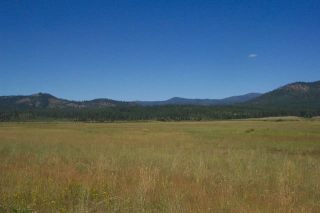 3900 Haverland Meadows Road, Unit 1 Valley, WA 99181 - Photo 12 of 40