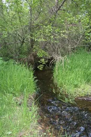 $1,500,000 | 3900 Haverland Meadows Road, Unit 1, Valley, WA 99181