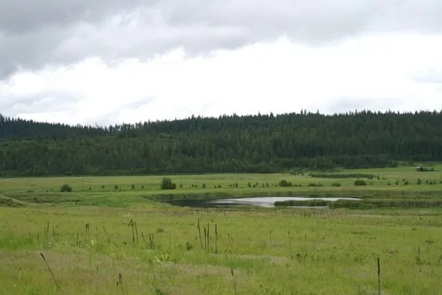 $1,500,000 | 3900 Haverland Meadows Road, Unit 1, Valley, WA 99181