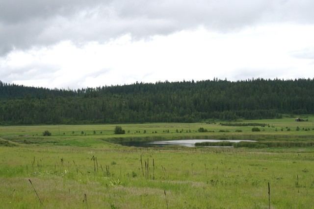 3900 Haverland Meadows Road, Unit 1 Valley, WA 99181 - Photo 15 of 40