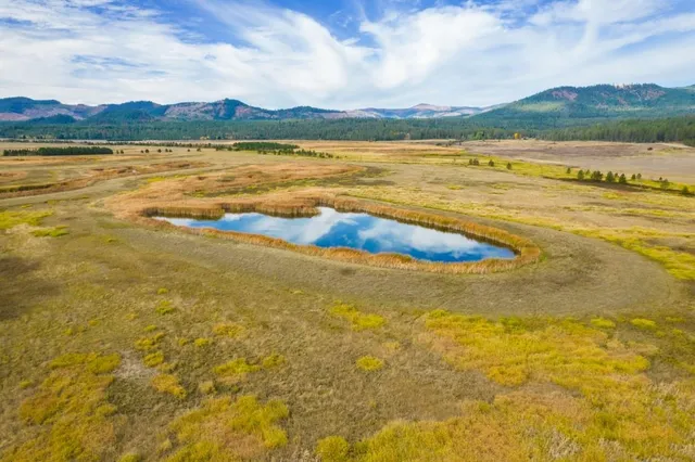 $1,500,000 | 3900 Haverland Meadows Road, Unit 1, Valley, WA 99181