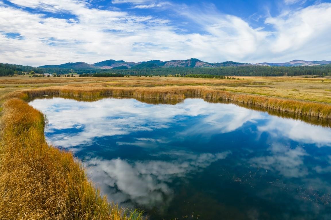 3900 Haverland Meadows Road, Unit 1 Valley, WA 99181 - Photo 20 of 40