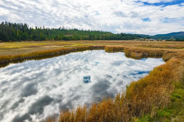 $1,500,000 | 3900 Haverland Meadows Road, Unit 1, Valley, WA 99181