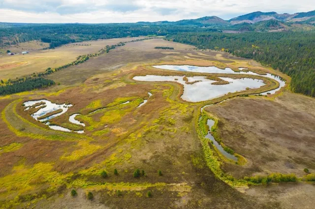 $1,500,000 | 3900 Haverland Meadows Road, Unit 1, Valley, WA 99181