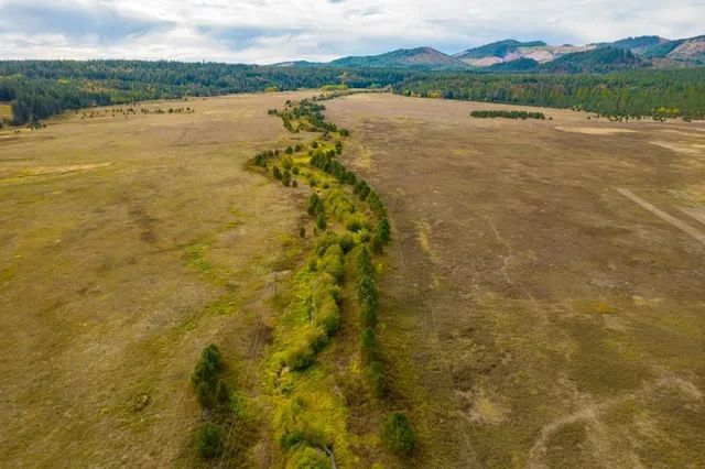 $1,500,000 | 3900 Haverland Meadows Road, Unit 1, Valley, WA 99181