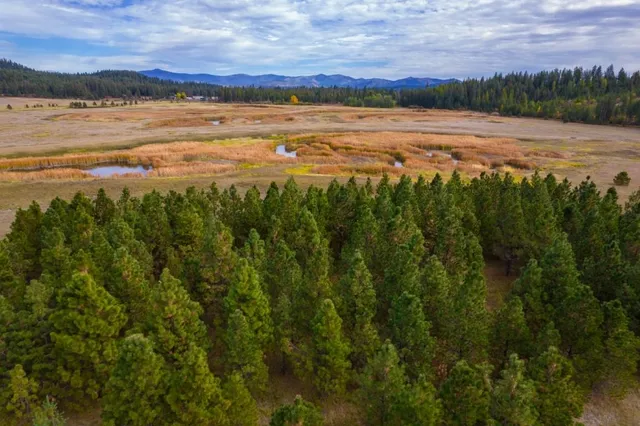 $1,500,000 | 3900 Haverland Meadows Road, Unit 1, Valley, WA 99181