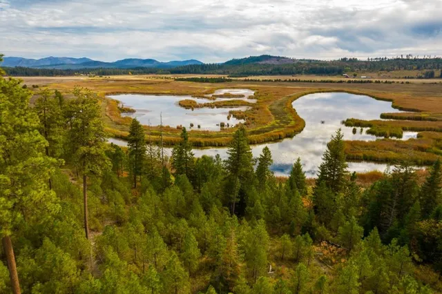 $1,500,000 | 3900 Haverland Meadows Road, Unit 1, Valley, WA 99181