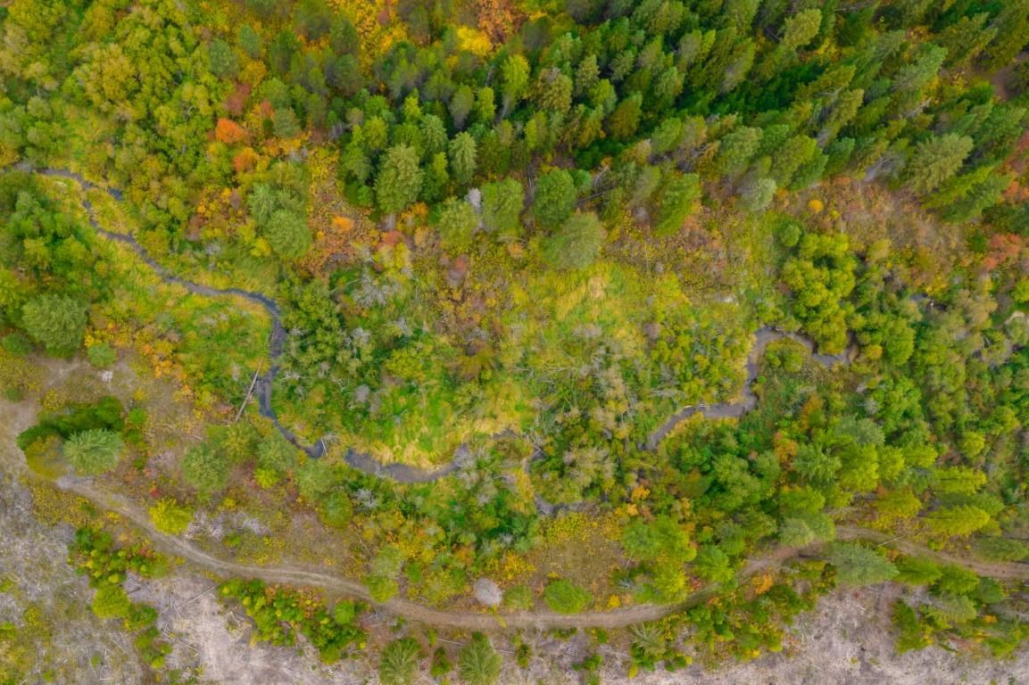 3900 Haverland Meadows Road, Unit 1 Valley, WA 99181 - Photo 37 of 40