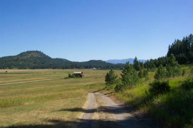 $1,500,000 | 3900 Haverland Meadows Road, Unit 1, Valley, WA 99181