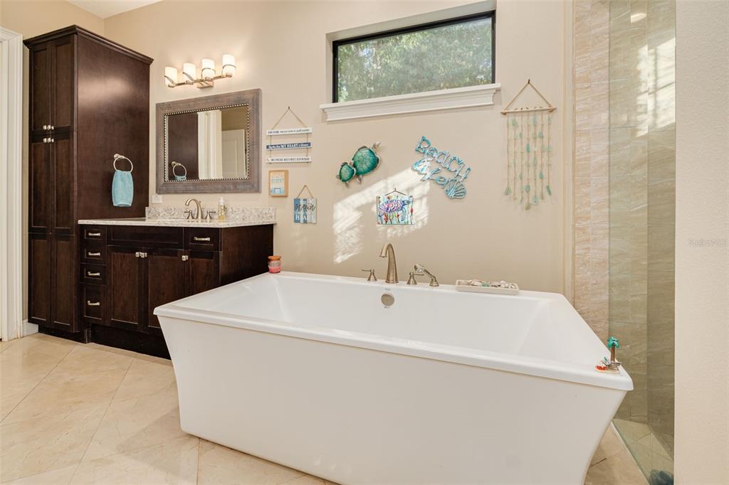 9505 Aqua Lane Odessa, FL 33556 - Photo 22 of 43