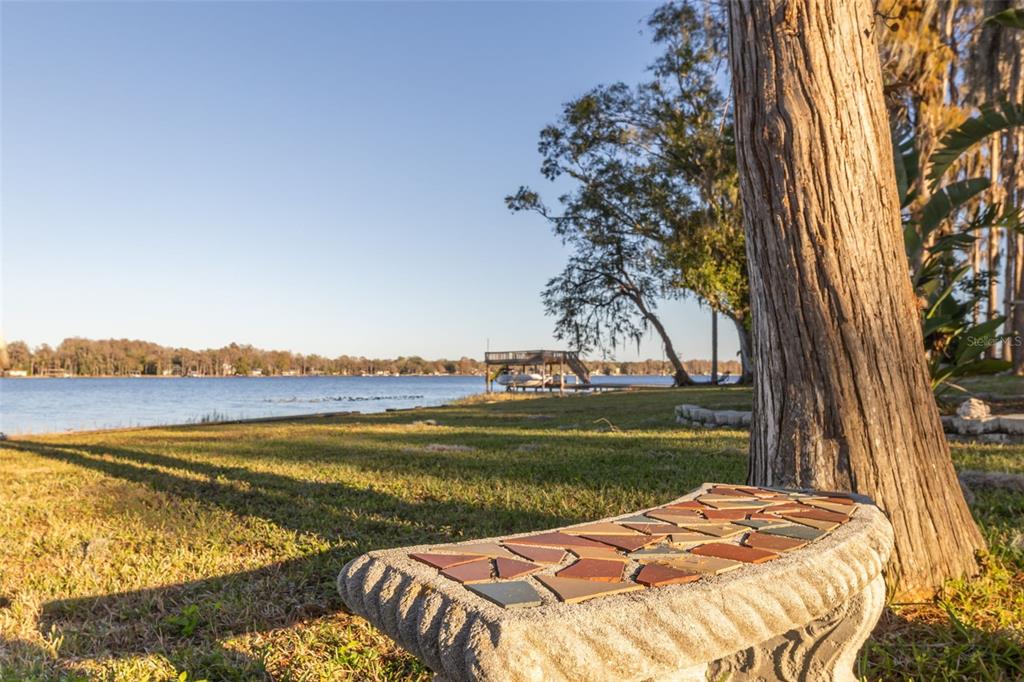 9505 Aqua Lane Odessa, FL 33556 - Photo 34 of 43