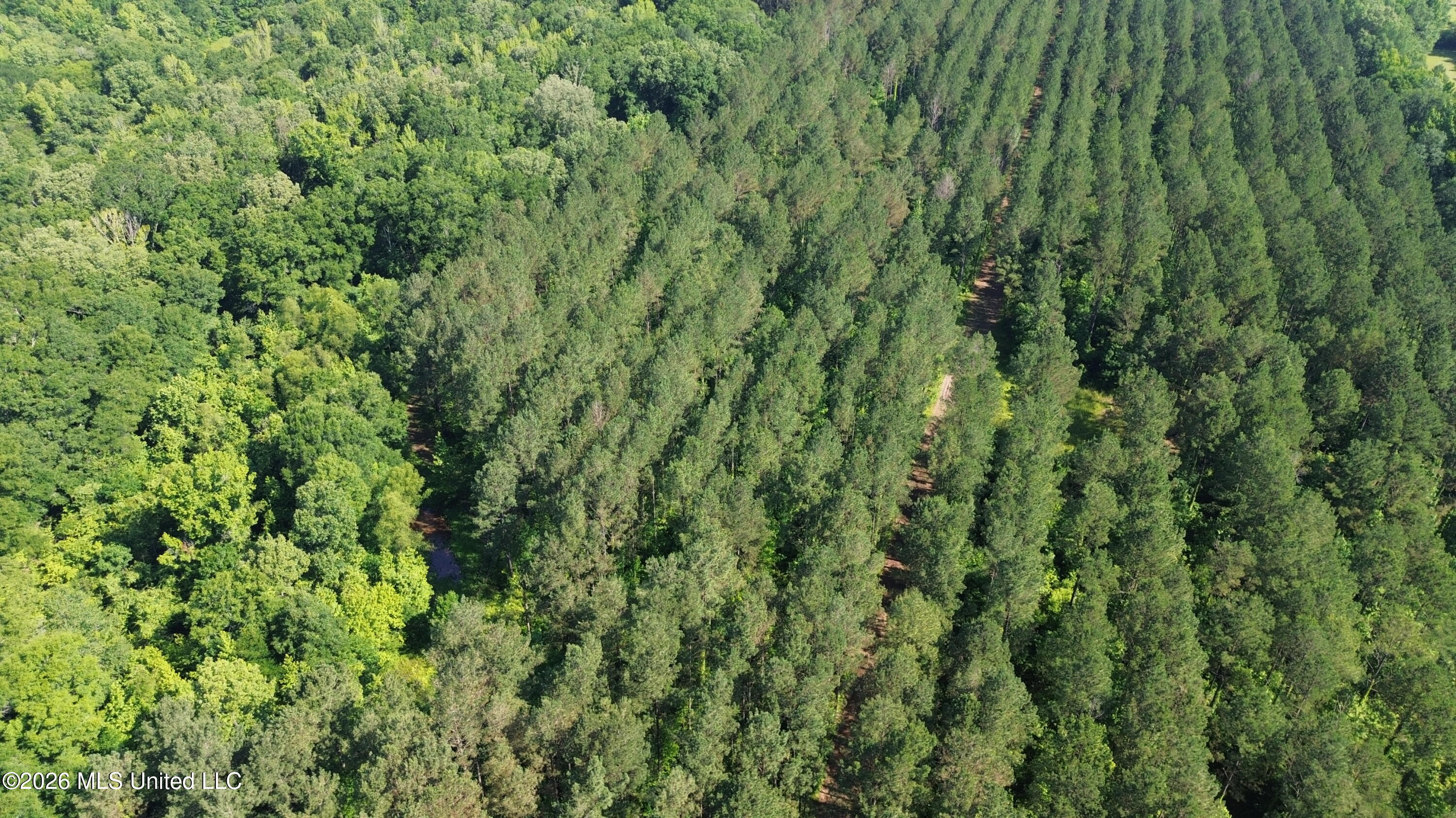 1359 Loring Rd Exd Camden, MS 39045 - Photo 10 of 91 DJI_0441