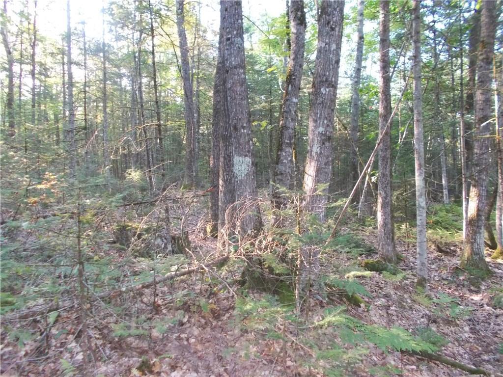 194 Perkins Road Burnham, ME 04922 - Photo 4 of 9 Photo