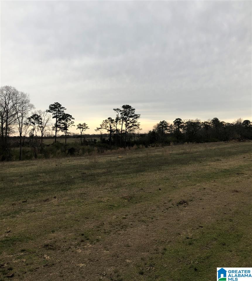0 County Road 30, Unit 1 Clanton, AL 35045 - Photo 11 of 32