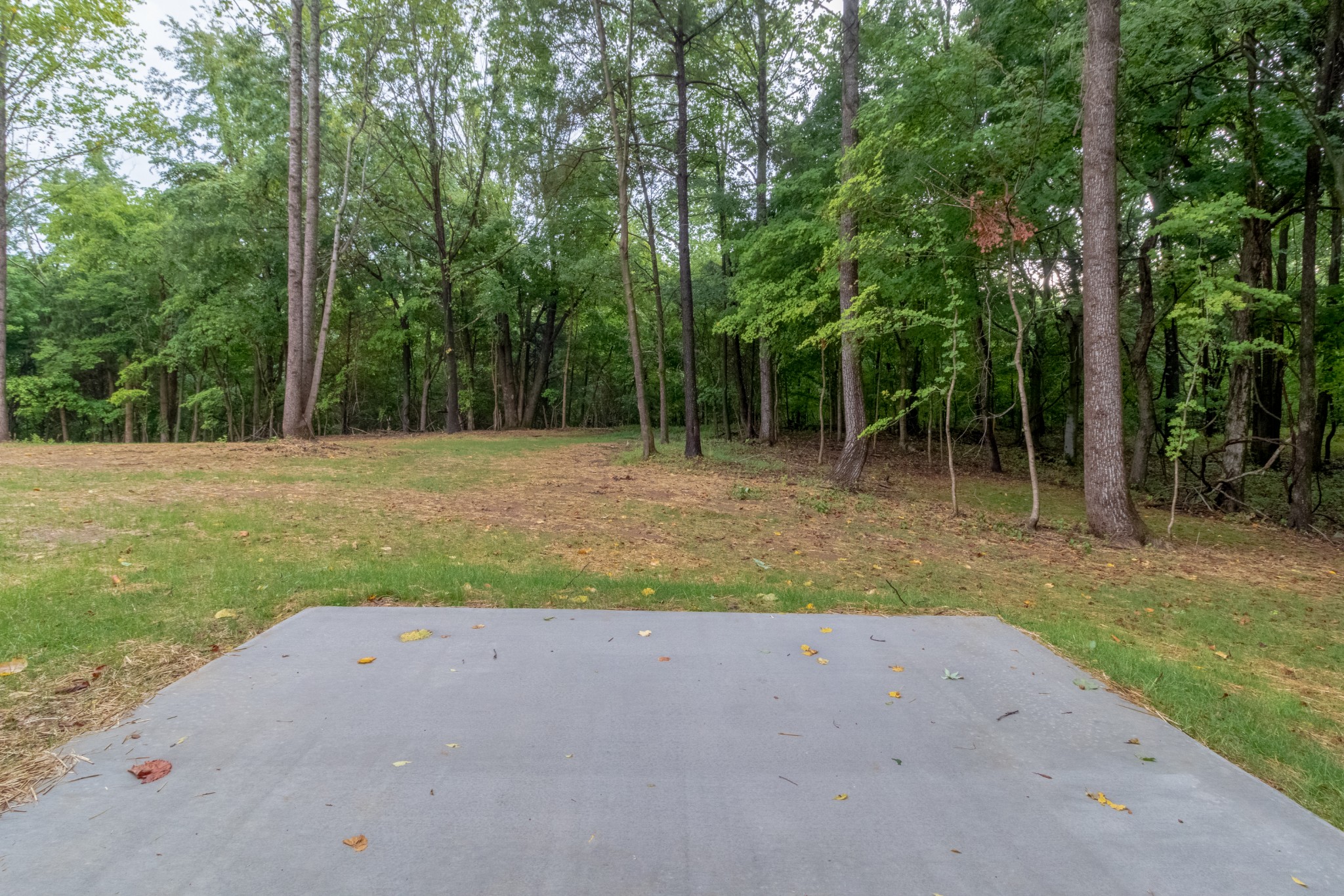 3 Whitfield Road Clarksville, TN 37040 - Photo 4 of 17