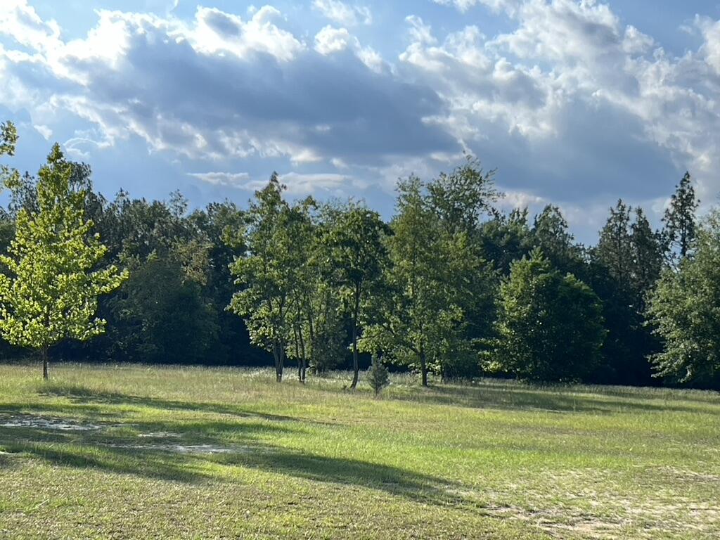 672 Redds Branch Road Aiken, SC 29801 - Photo 33 of 52