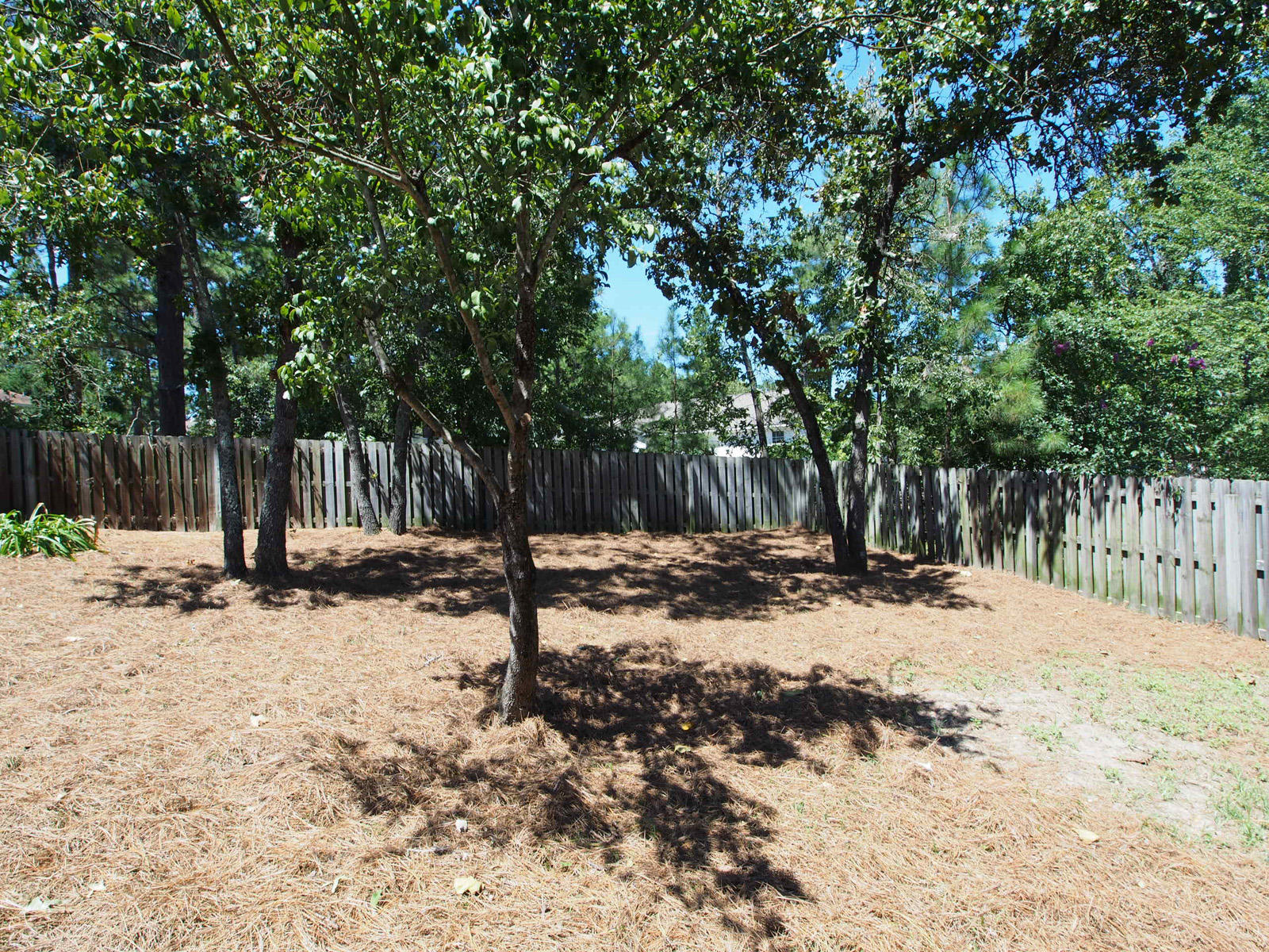 235 Spring Lake Drive Pinehurst, NC 28374 - Photo 21 of 21 yard3