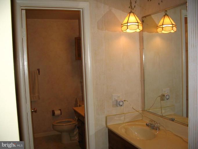 12917 Lanes Run Road Big Pool, MD 21711 - Photo 19 of 21 Master Bath