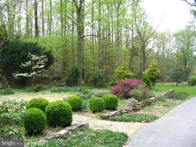 12917 Lanes Run Road Big Pool, MD 21711 - Photo 6 of 21 Garden #2